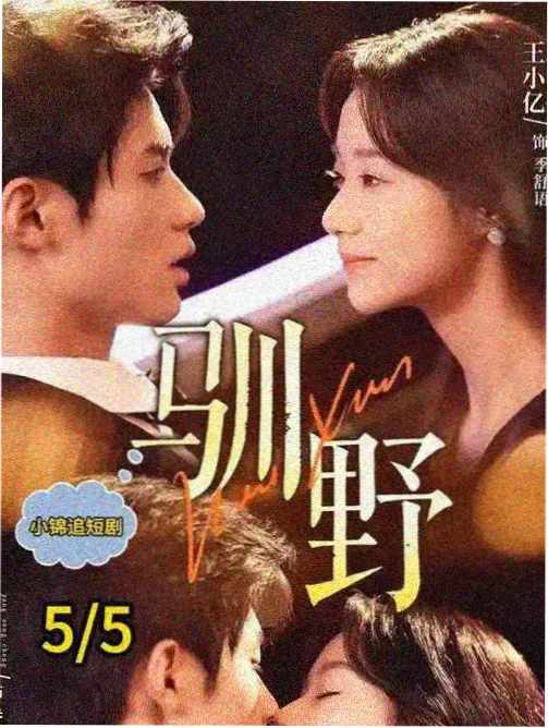 职场题材剧集的收藏卡片封面
